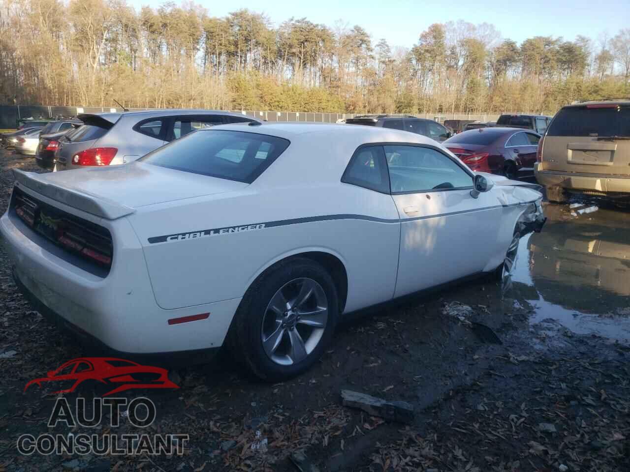 DODGE CHALLENGER 2018 - 2C3CDZAG4JH229526