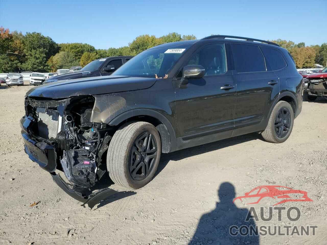 KIA TELLURIDE 2024 - 5XYP3DGC9RG512859