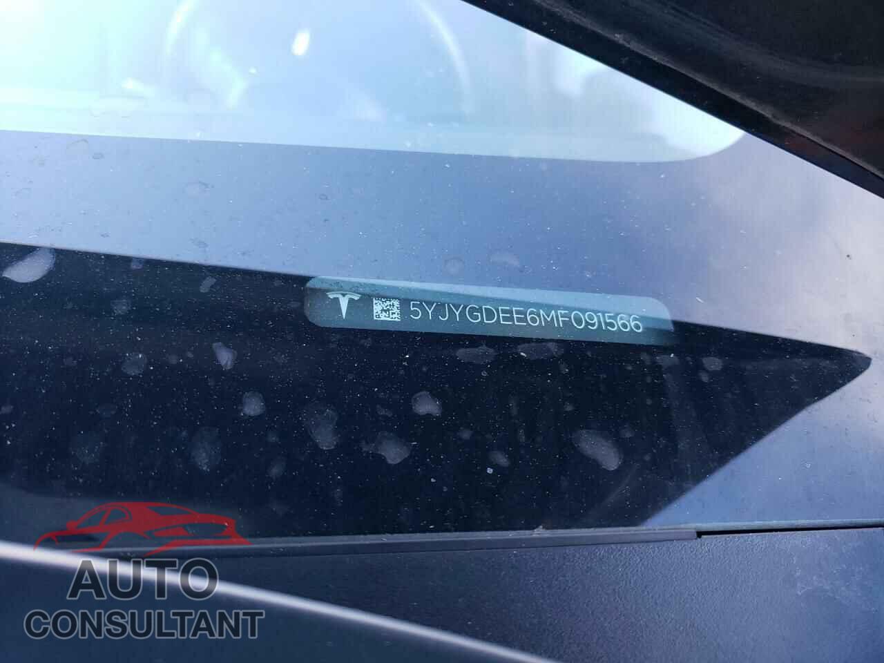 TESLA MODEL Y 2021 - 5YJYGDEE6MF091566