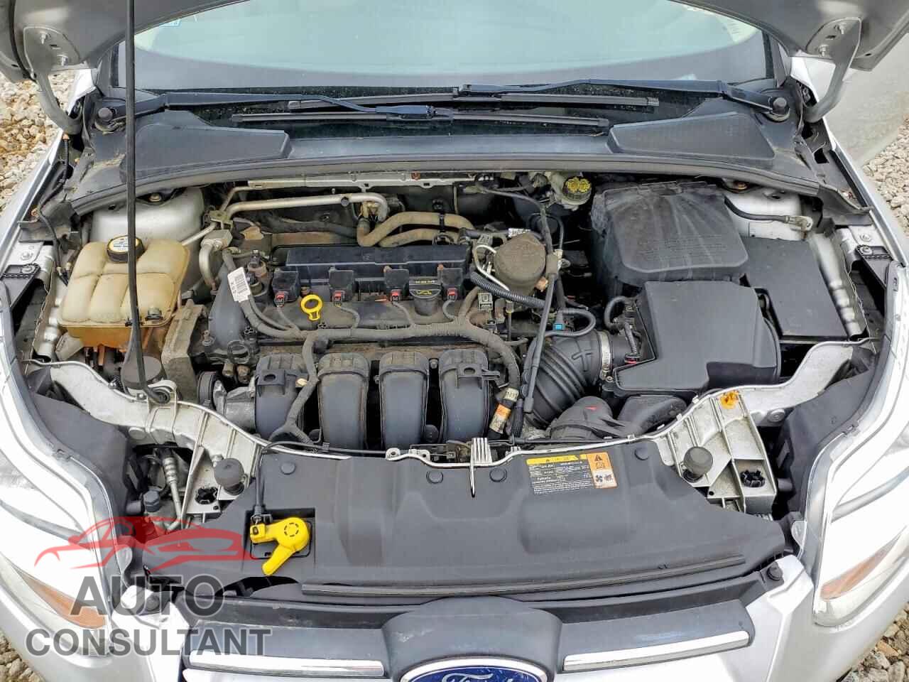 FORD FOCUS 2014 - 1FADP3K20EL164437