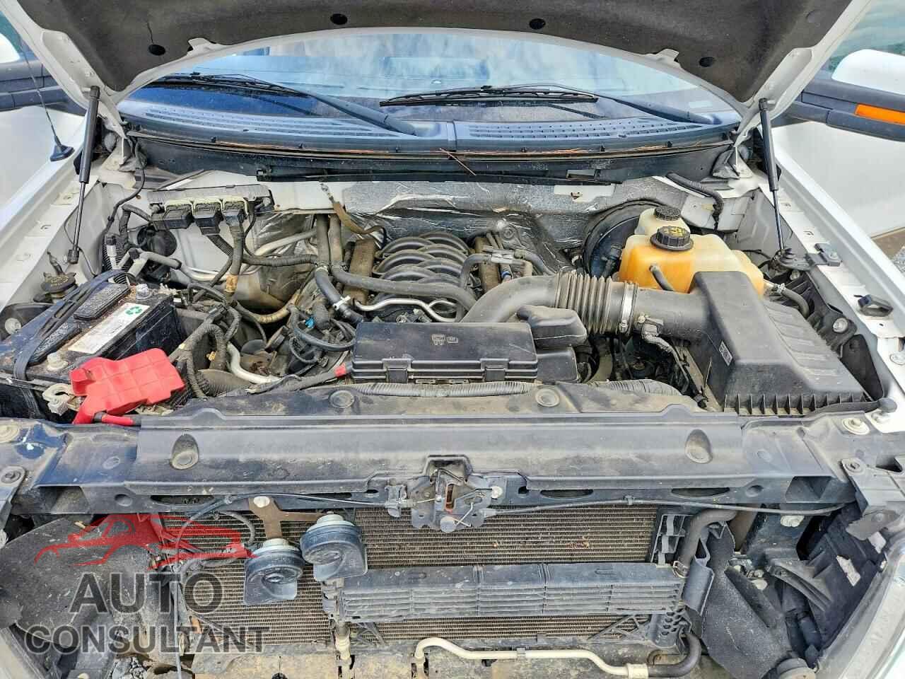 FORD F150 2013 - 1FTFW1CF3DFD00357