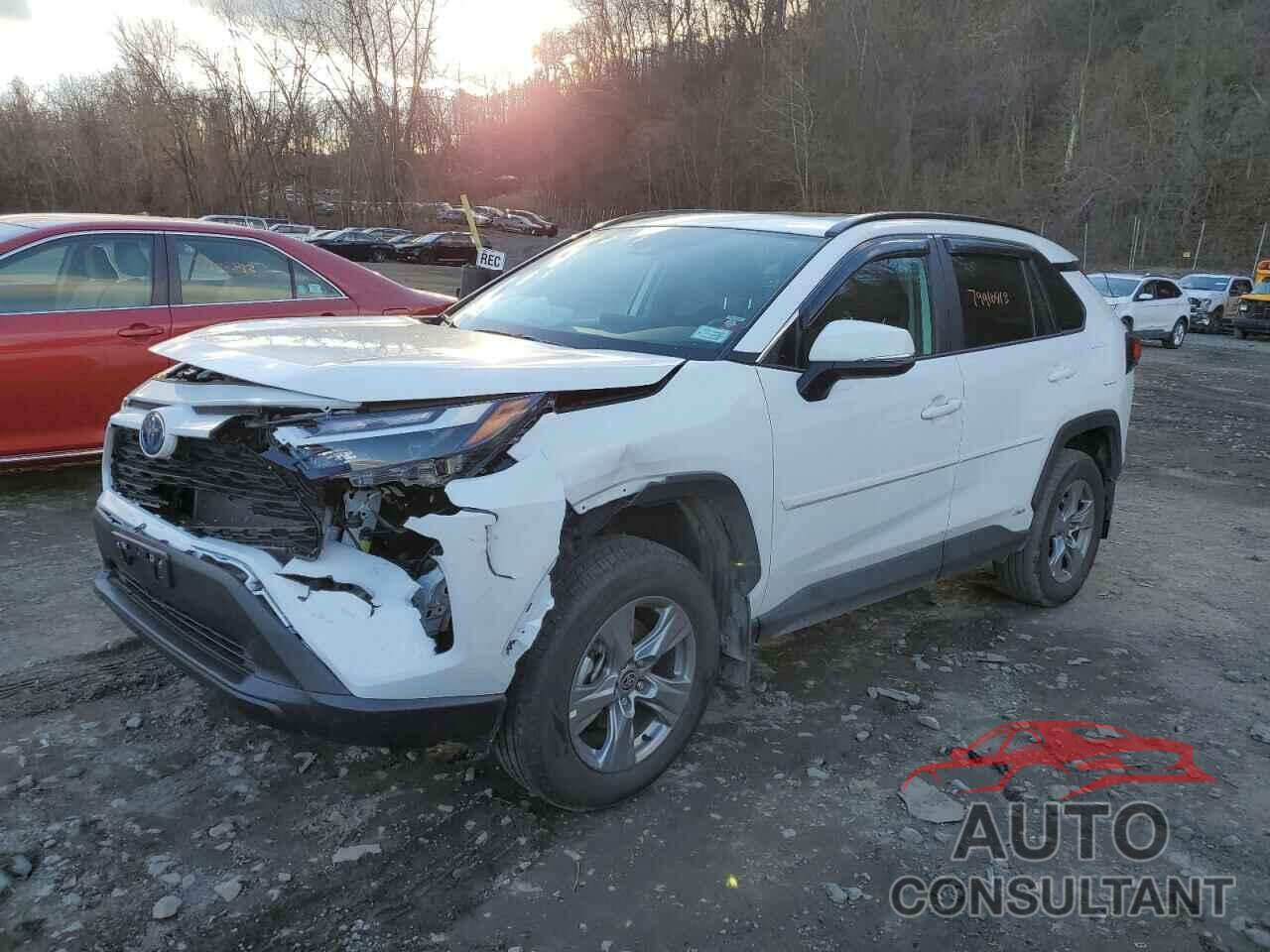 TOYOTA RAV4 2023 - 2T3RWRFV4PW176407