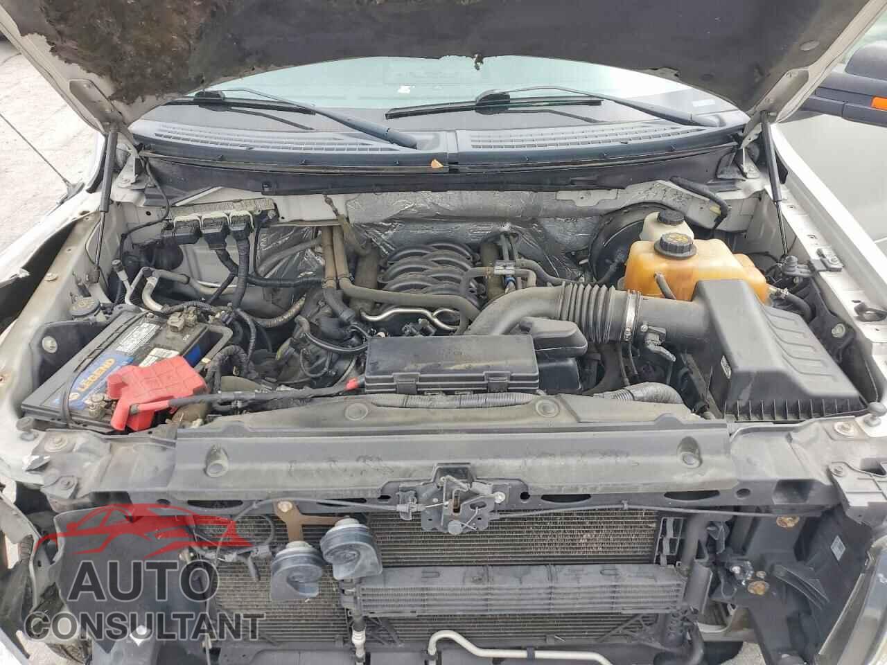FORD F150 2013 - 1FTFW1CF5DFD54985