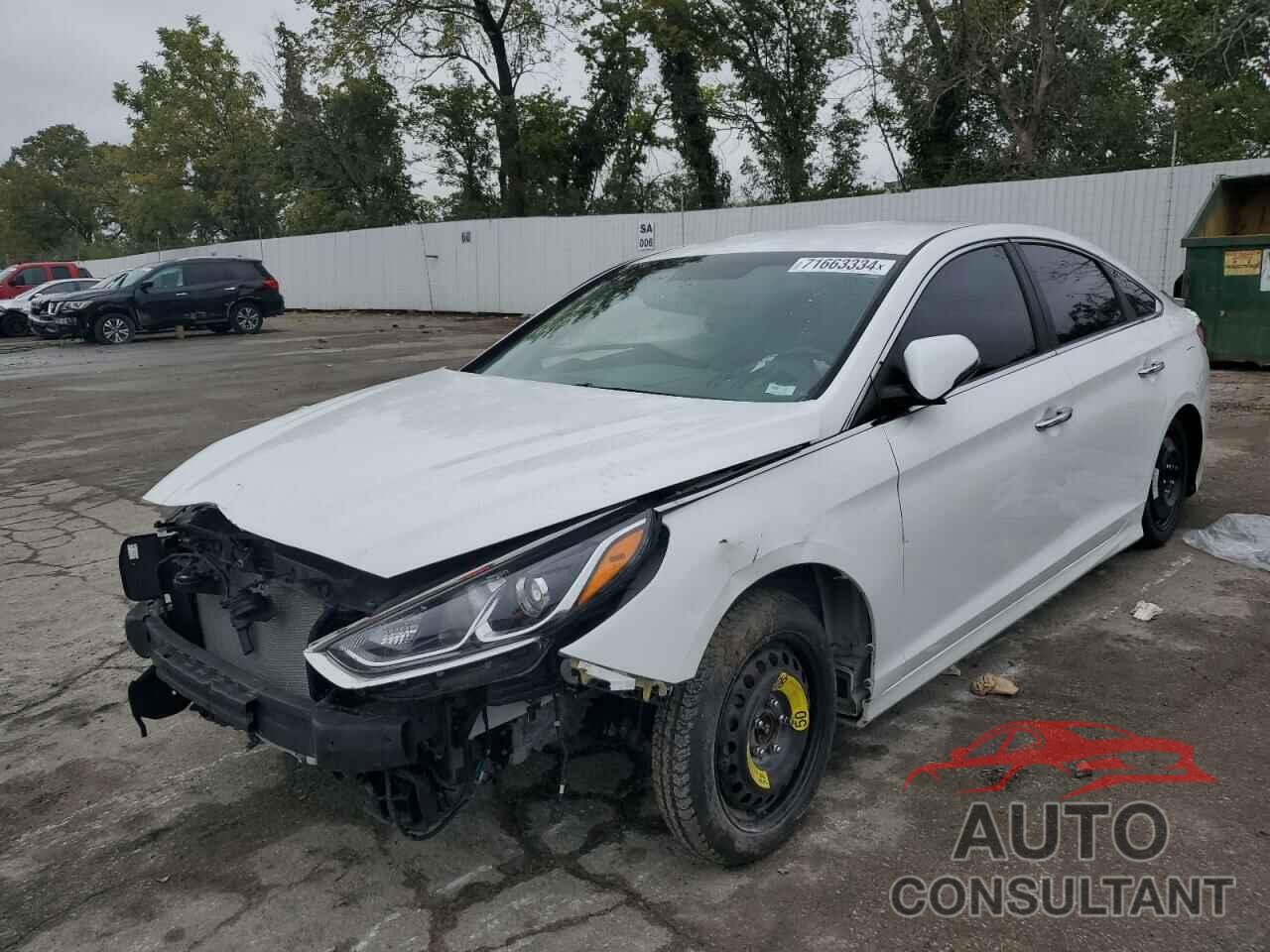 HYUNDAI SONATA 2019 - 5NPE34AF6KH781958