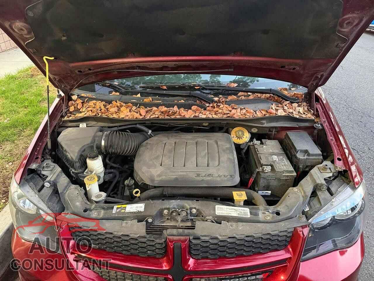 DODGE CARAVAN 2019 - 2C4RDGEG3KR768686
