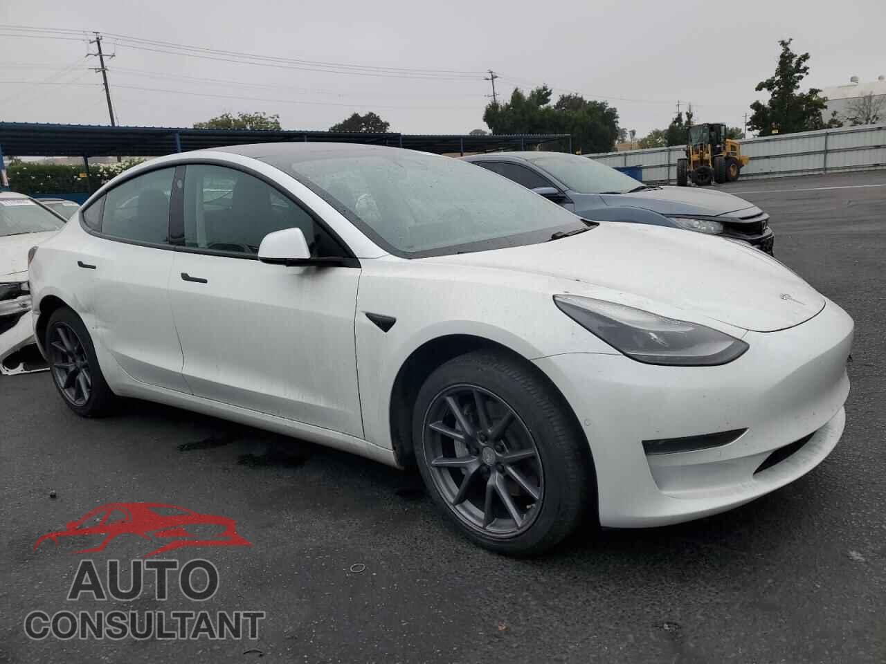 TESLA MODEL 3 2021 - 5YJ3E1EA2MF067003