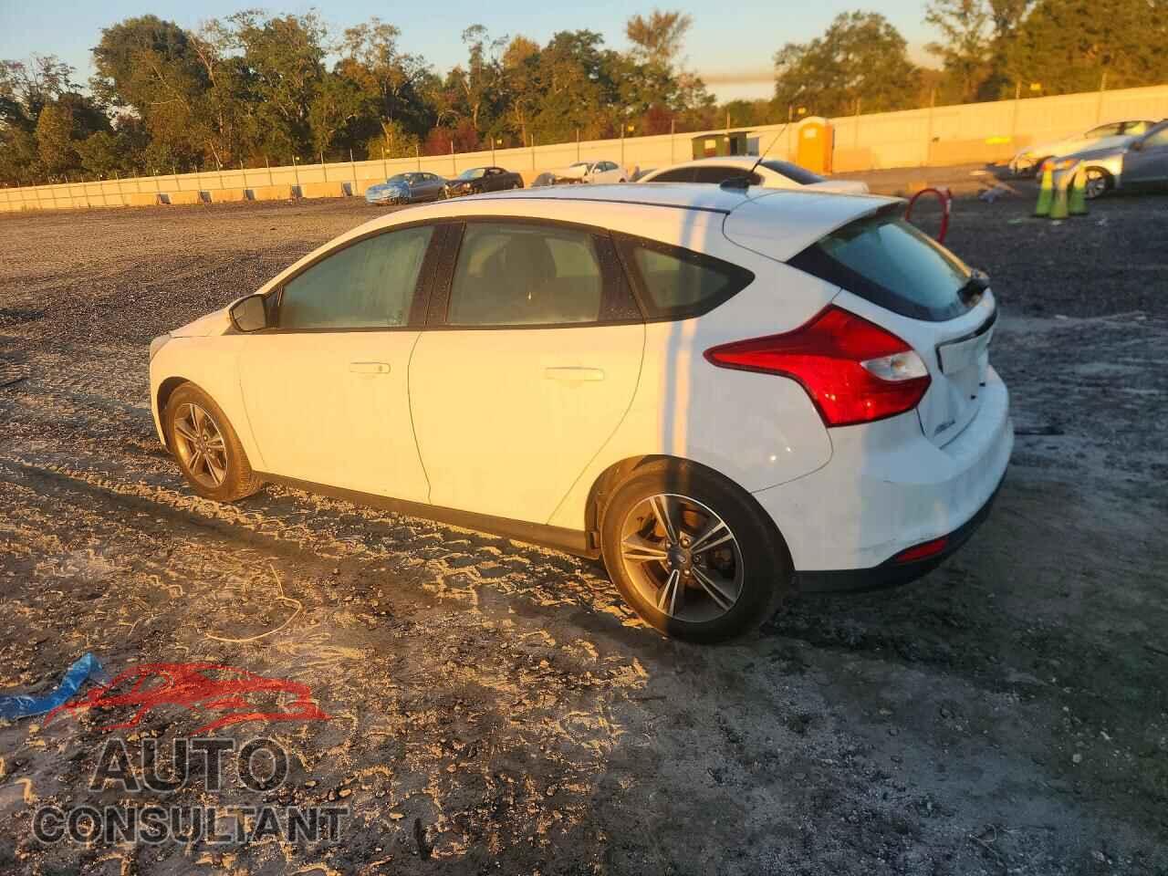 FORD FOCUS 2012 - 1FAHP3K28CL134438