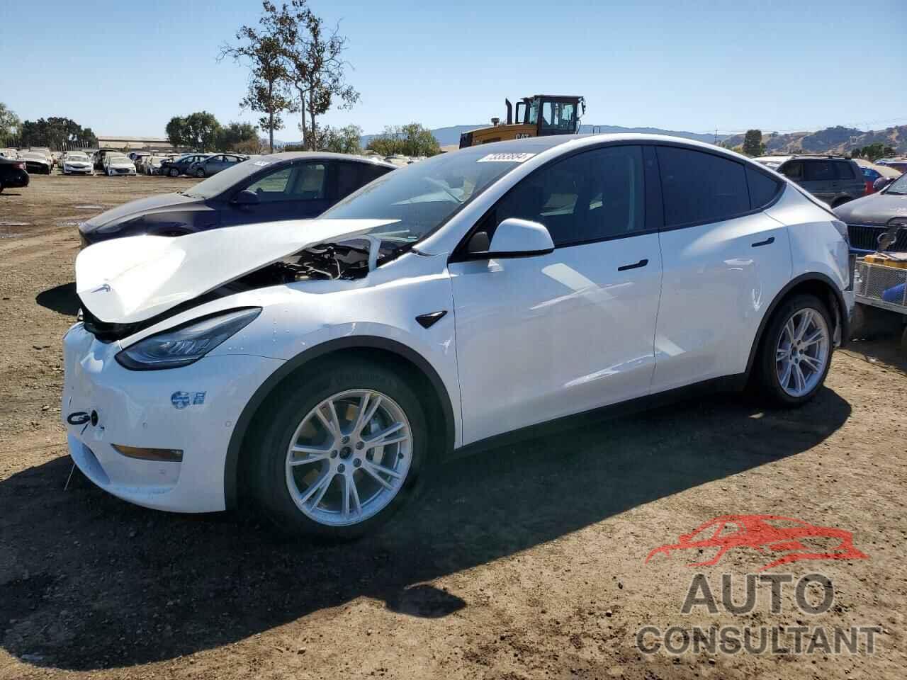 TESLA MODEL Y 2021 - 5YJYGDEE0MF150207