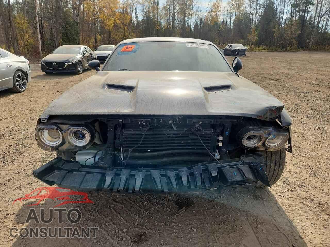 DODGE CHALLENGER 2019 - 2C3CDZKG6KH672583