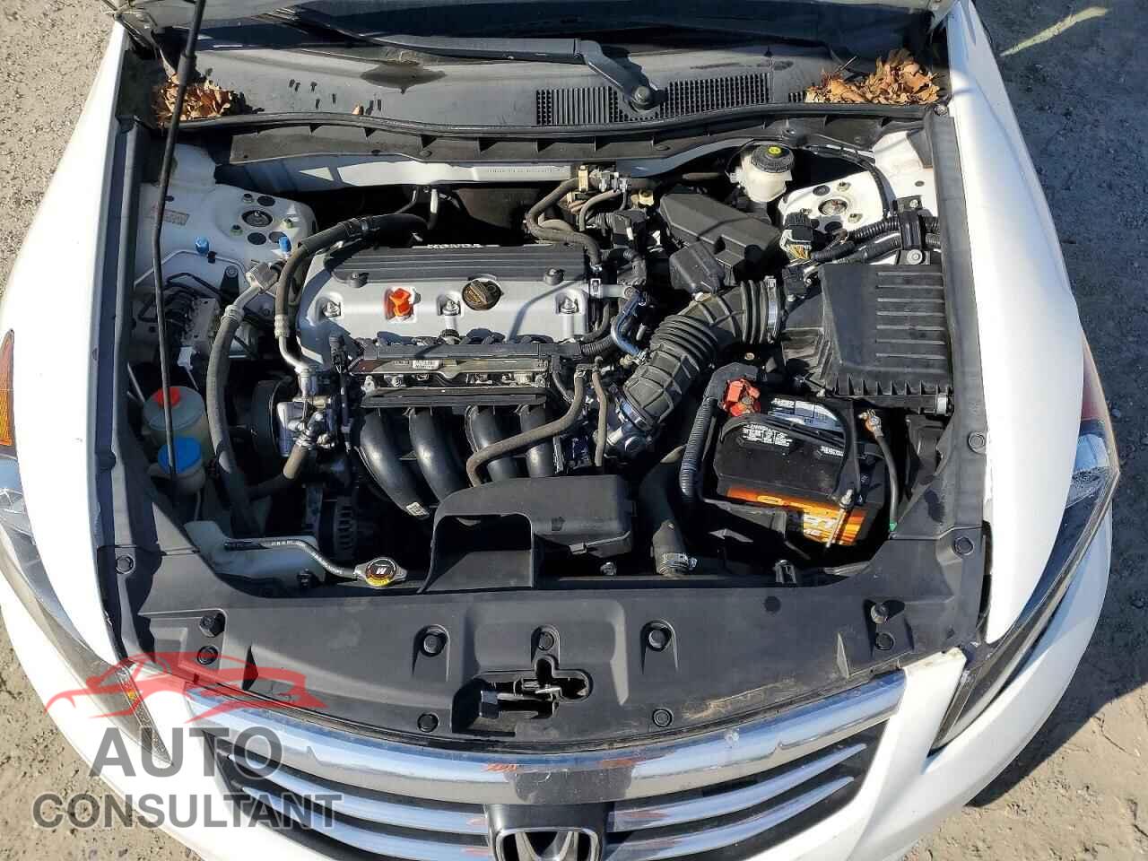 HONDA ACCORD 2011 - 1HGCP2F61BA072159