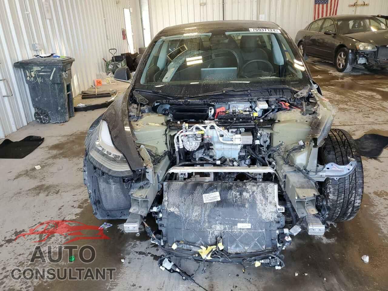TESLA MODEL 3 2019 - 5YJ3E1EB8KF441975