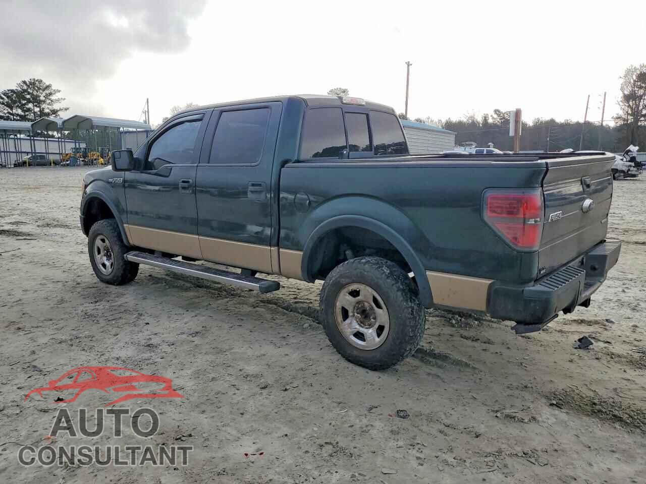 FORD F-150 2013 - 1FTFW1EF8DFD91896