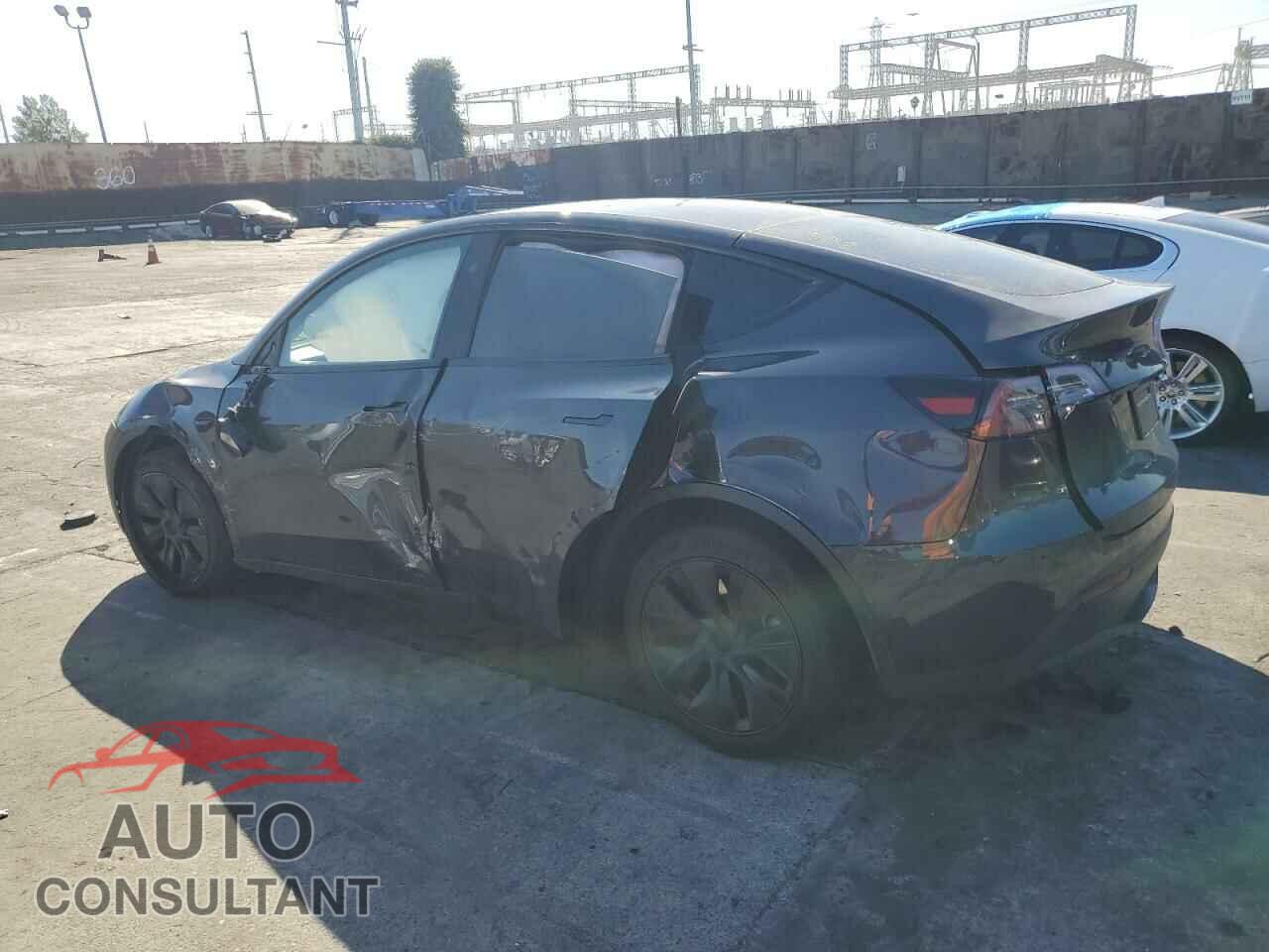 TESLA MODEL Y 2024 - 7SAYGDEE3RF126848