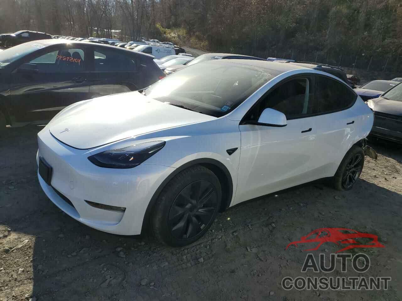 TESLA MODEL Y 2024 - 7SAYGAEE3RF194789