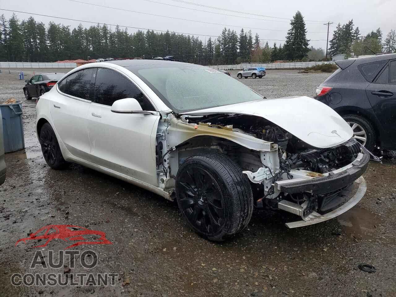 TESLA MODEL 3 2019 - 5YJ3E1EA0KF430749