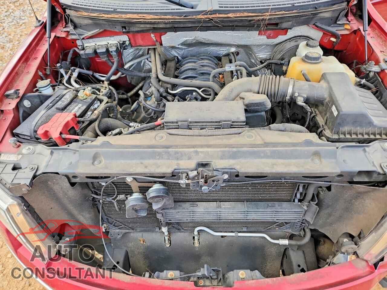 FORD F150 2013 - 1FTFW1CFXDFD30438