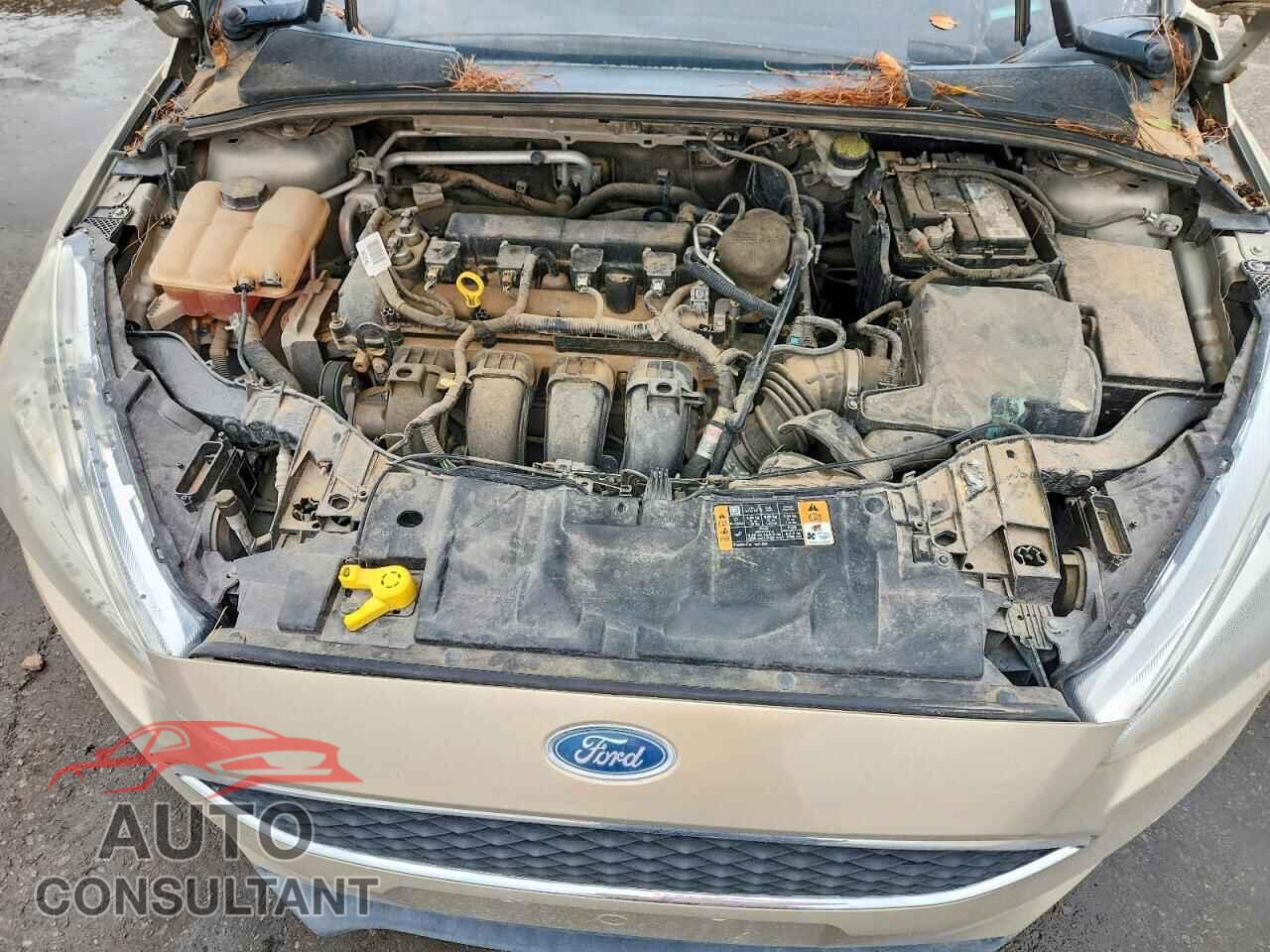 FORD FOCUS 2015 - 1FADP3F25FL287212