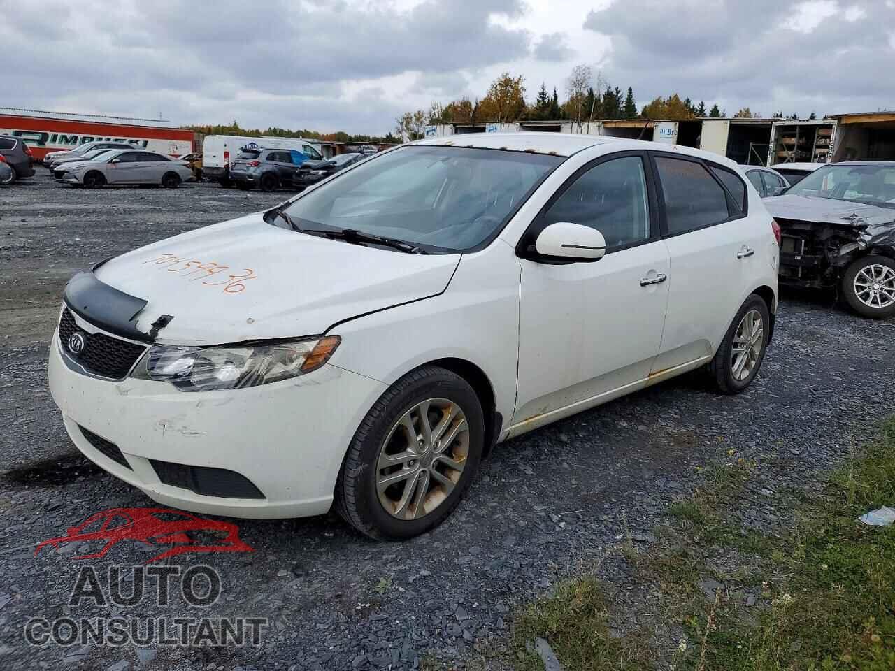 KIA FORTE 2012 - KNAFU5A29C5558252