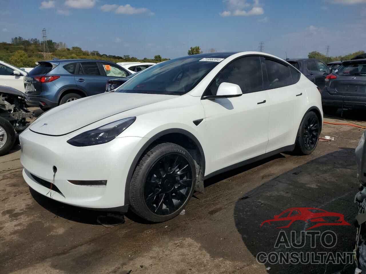 TESLA MODEL Y 2023 - 7SAYGDEEXPF749638