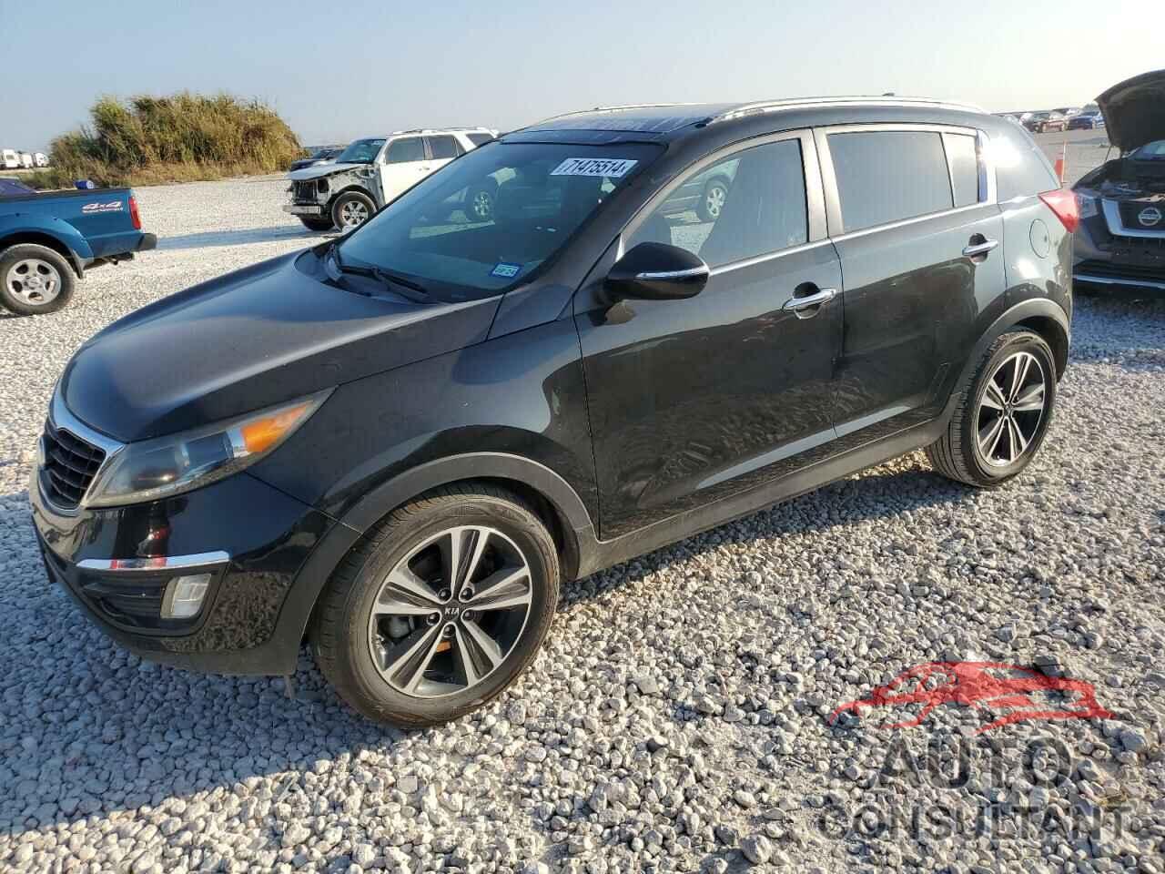 KIA SPORTAGE 2016 - KNDPC3A69G7816880