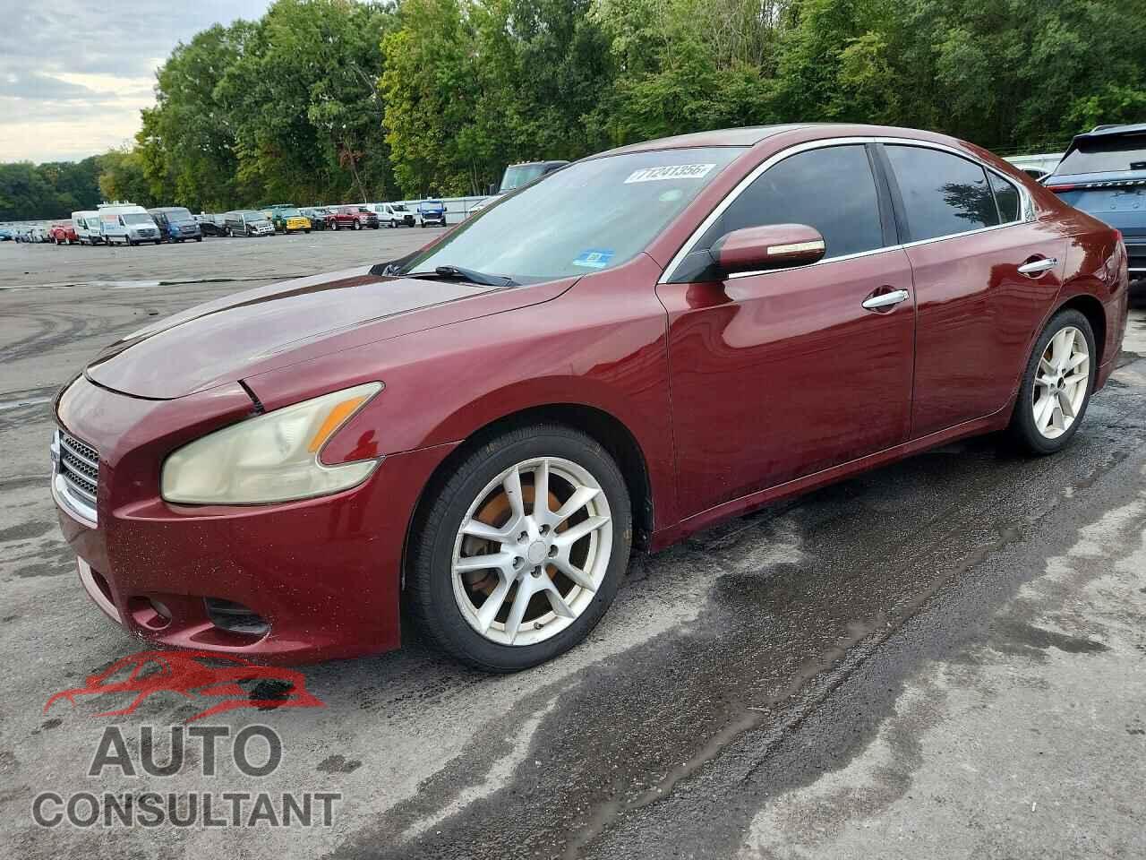 NISSAN MAXIMA 2011 - 1N4AA5AP7BC843016