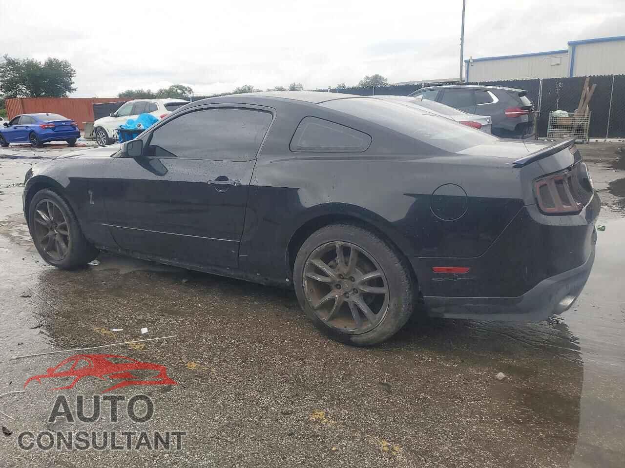 FORD MUSTANG 2014 - 1ZVBP8CF0E5288922