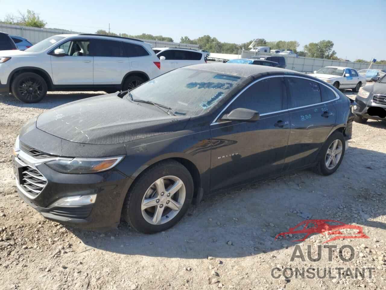 CHEVROLET MALIBU 2019 - 1G1ZB5ST5KF222919