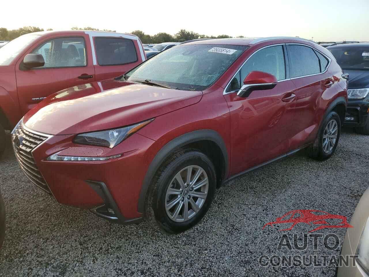 LEXUS NX 2019 - JTJYARBZ4K2120310