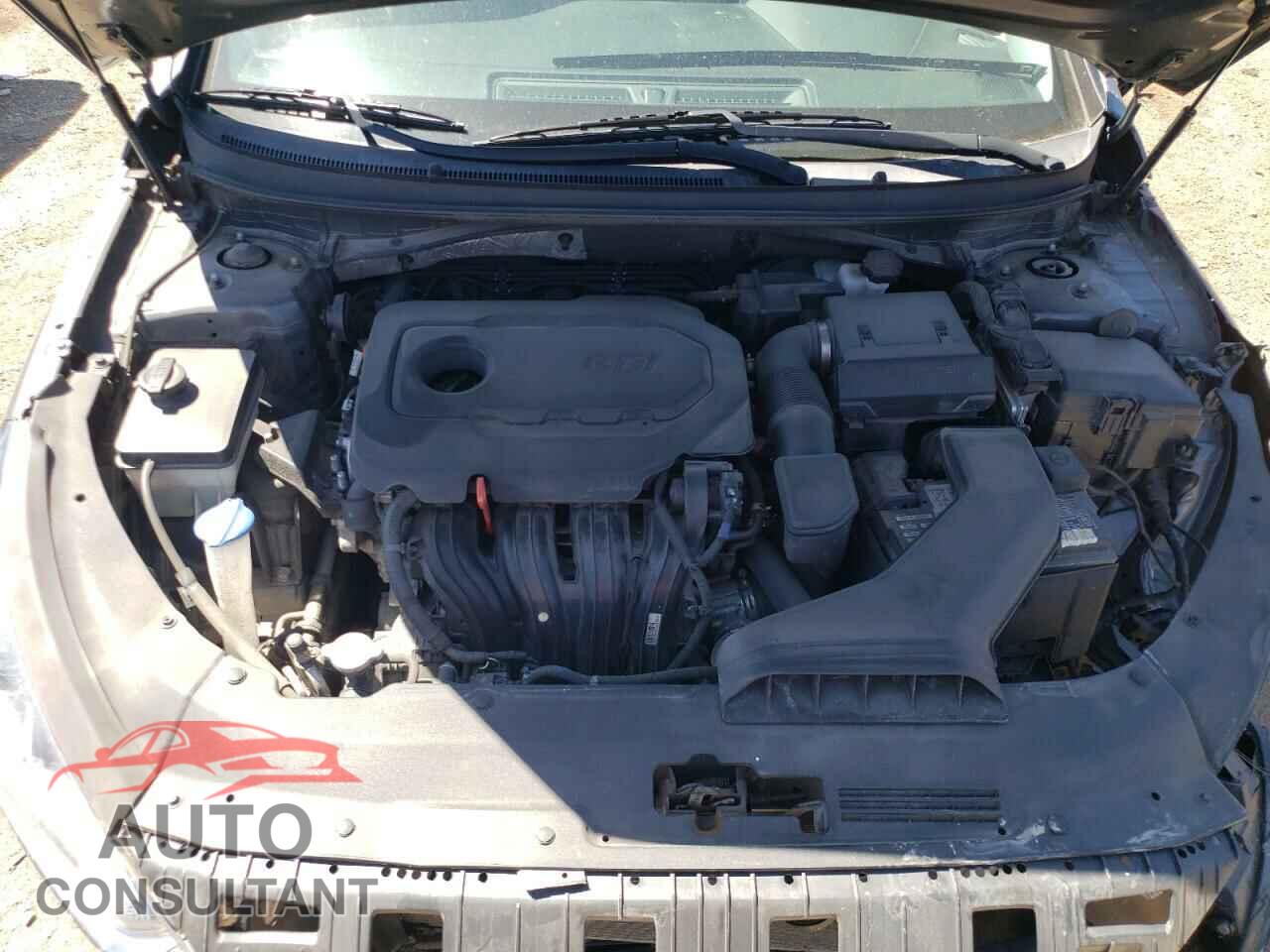 HYUNDAI SONATA 2019 - 5NPE34AF2KH786087