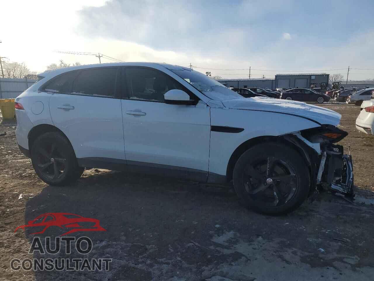 JAGUAR F-PACE 2020 - SADCJ2FX5LA659270