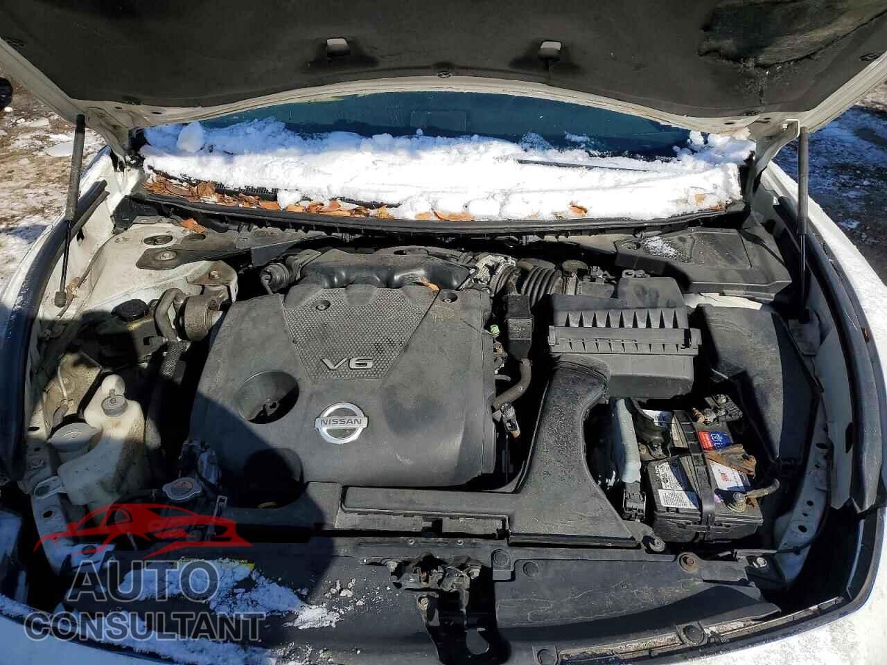 NISSAN MAXIMA 2010 - 1N4AA5AP5AC854725