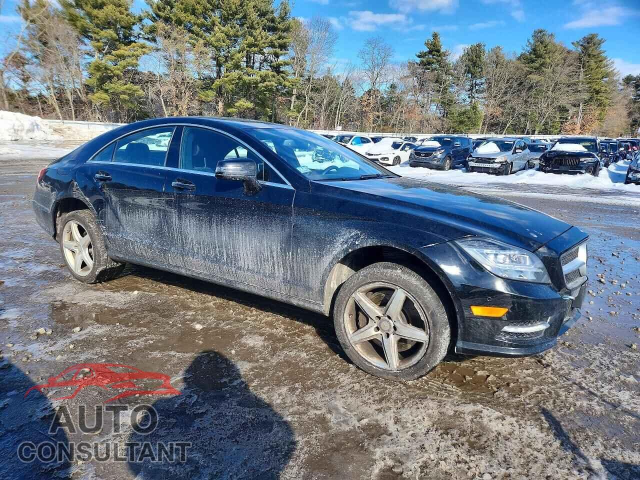 MERCEDES-BENZ CLS-CLASS 2013 - WDDLJ9BB3DA064665