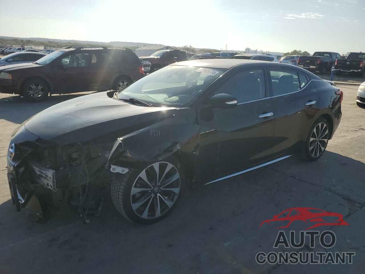 NISSAN MAXIMA 2016 - 1N4AA6AP4GC425459