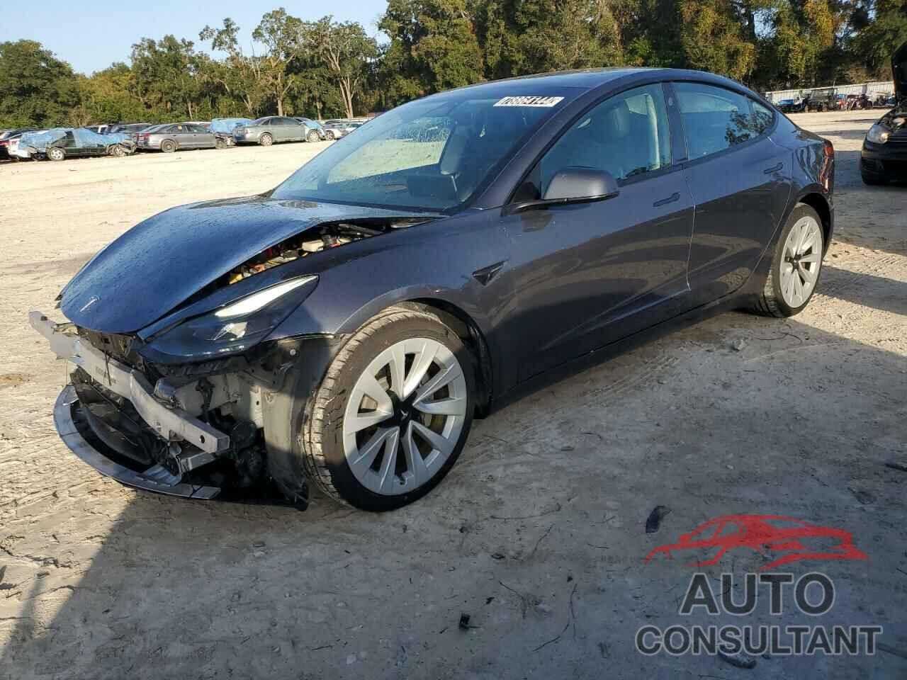 TESLA MODEL 3 2022 - 5YJ3E1EA0NF369066