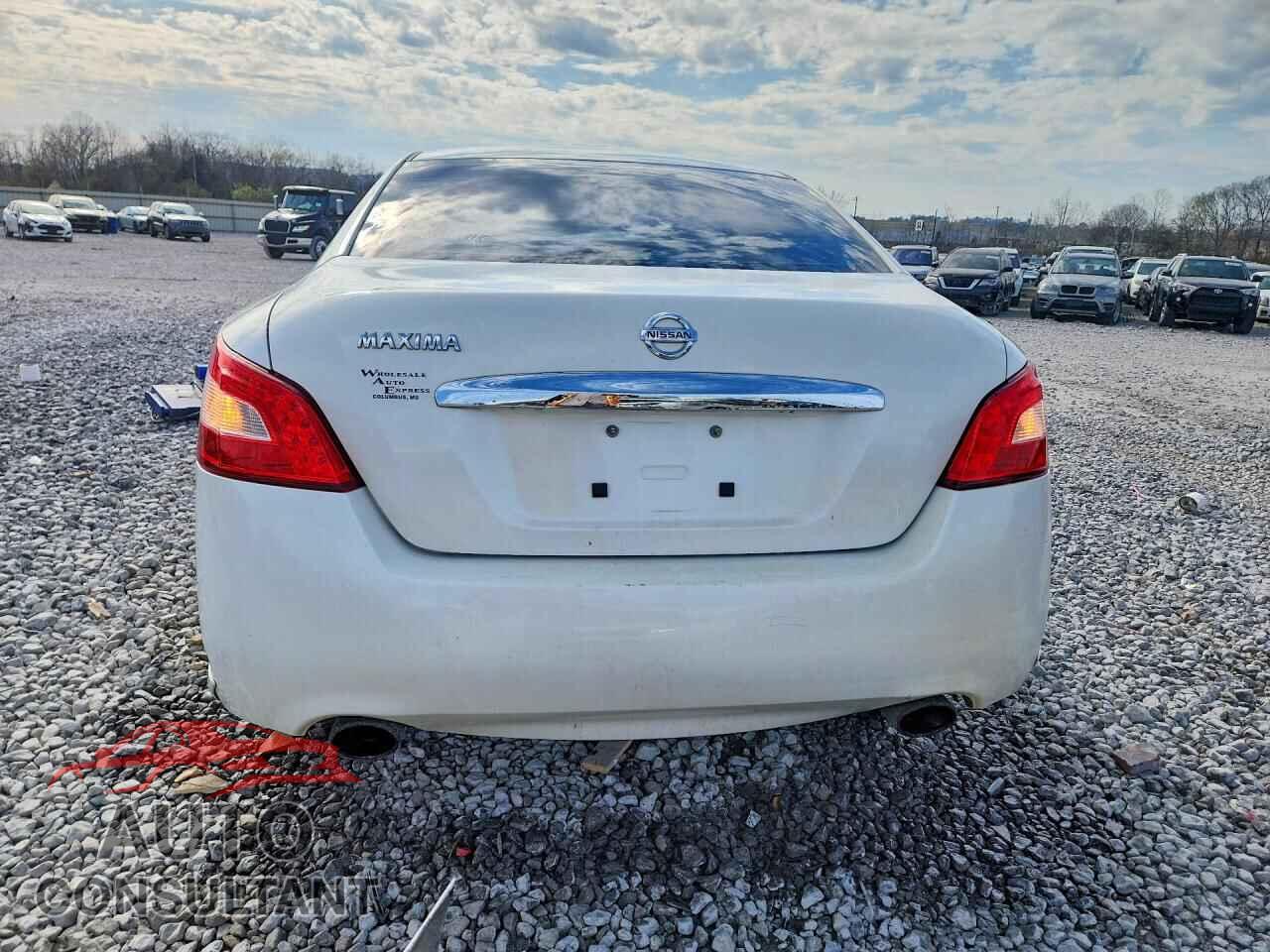 NISSAN MAXIMA 2011 - 1N4AA5AP6BC845663