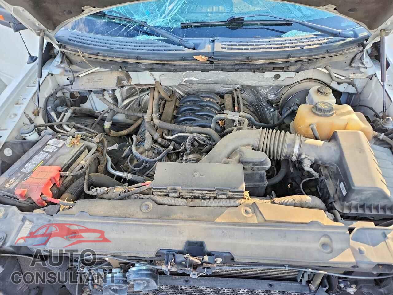 FORD F150 2012 - 1FTFW1CF5CKD67466