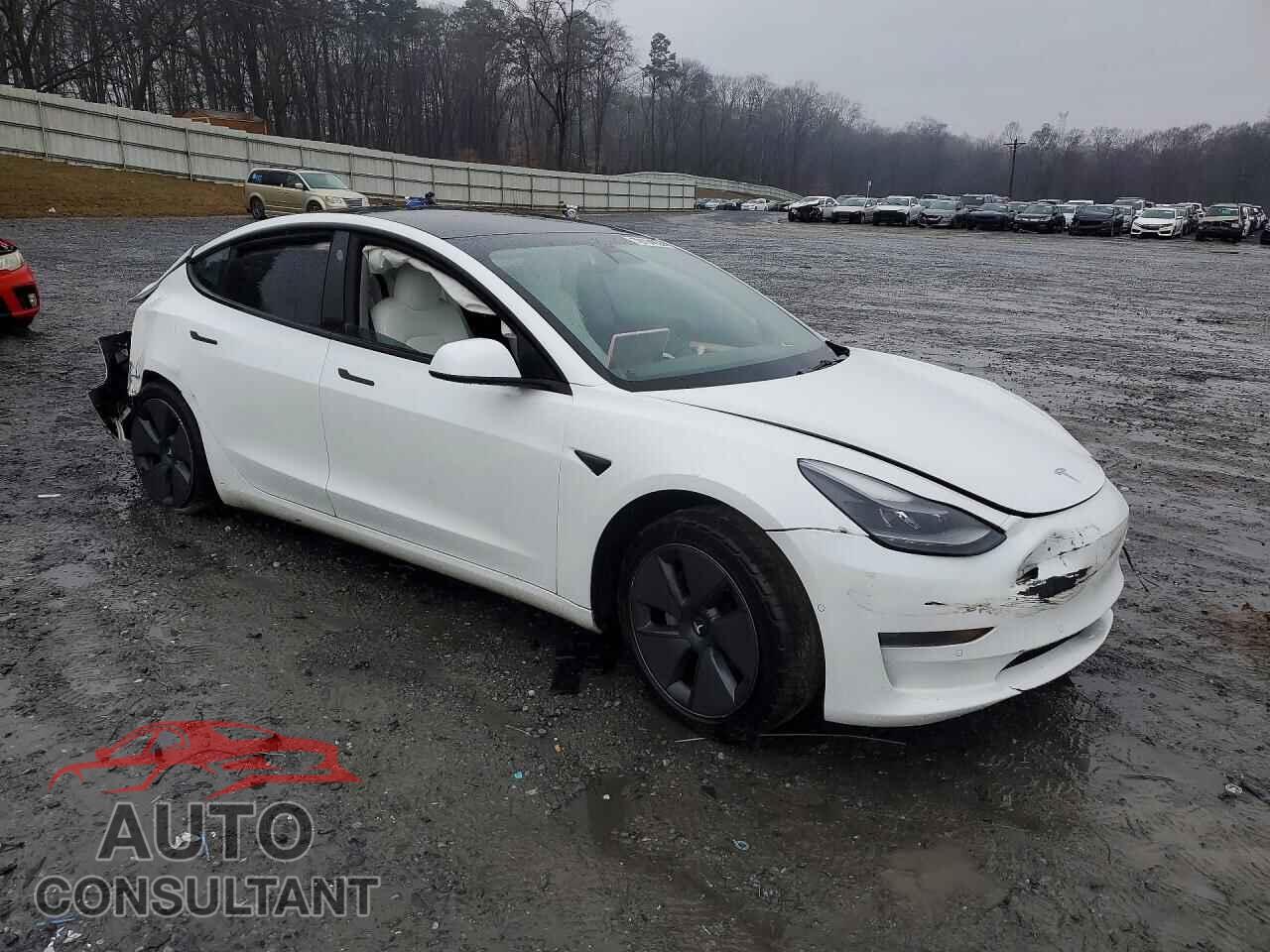 TESLA MODEL 3 2021 - 5YJ3E1EAXMF098774