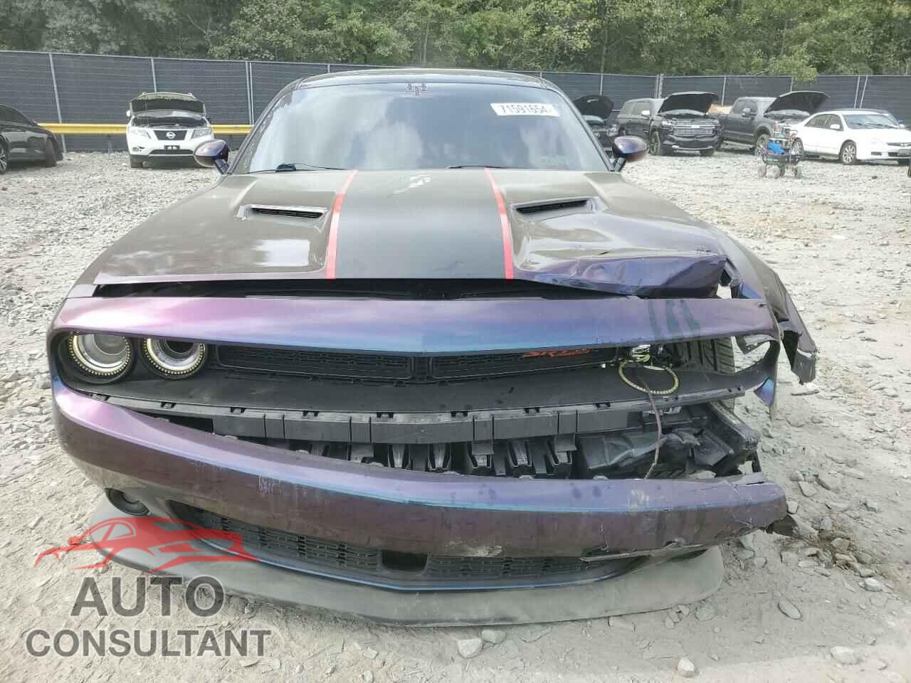 DODGE CHALLENGER 2016 - 2C3CDZFJ3GH253717