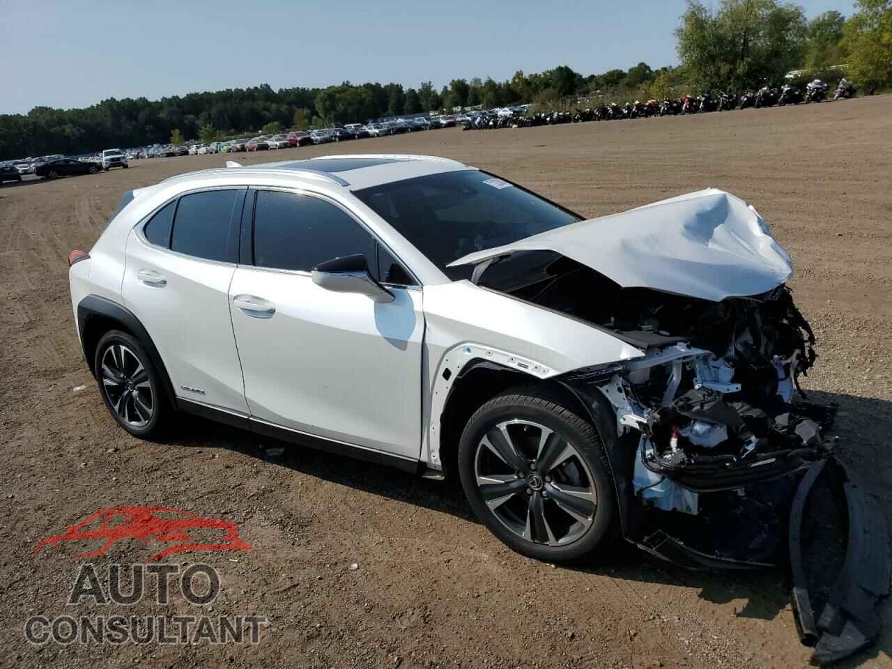 LEXUS UX 250H 2019 - JTHU9JBH7K2003709