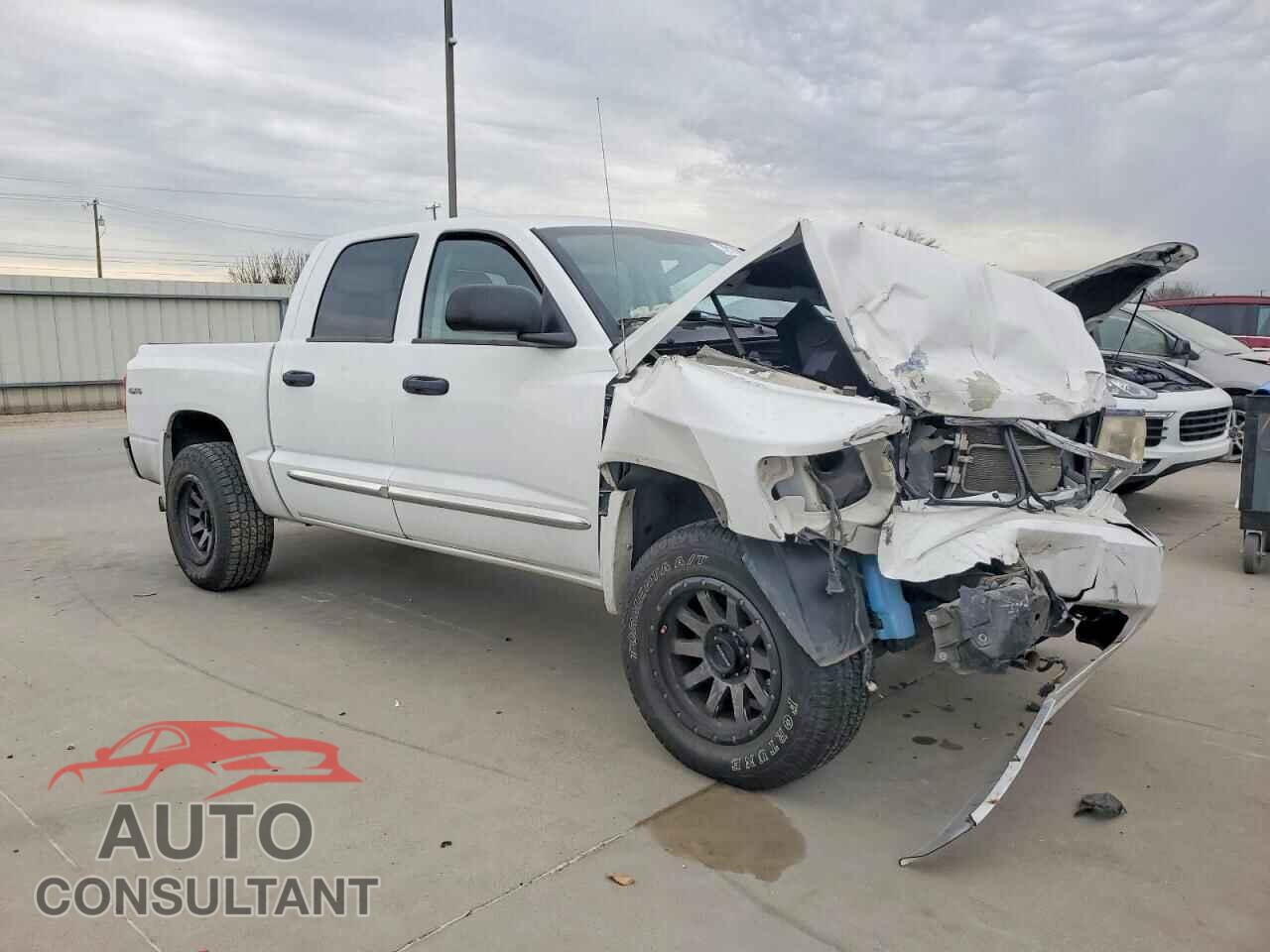 DODGE DAKOTA 2011 - 1D7RW5GP2BS708513