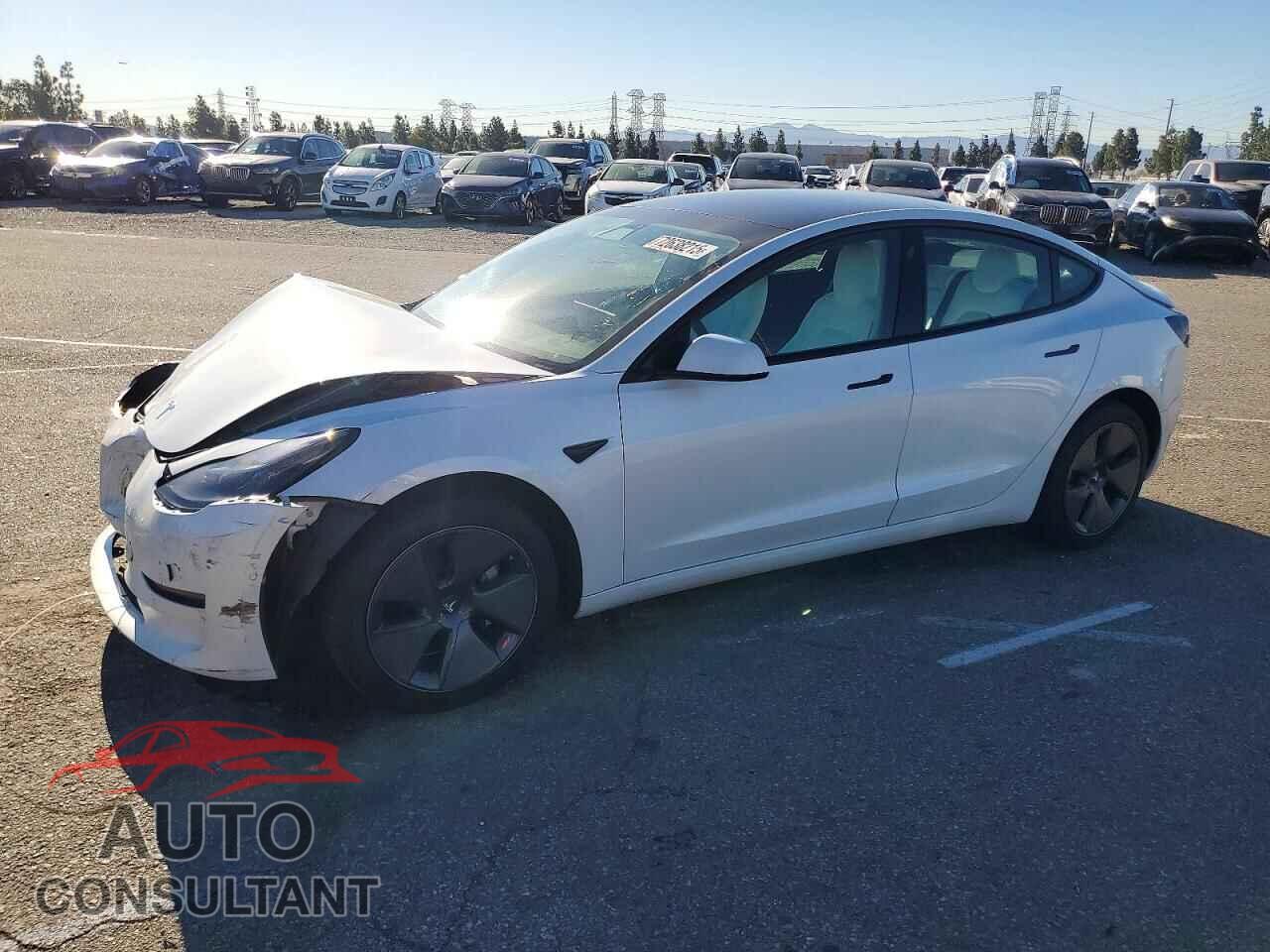 TESLA MODEL 3 2021 - 5YJ3E1EA8MF057074