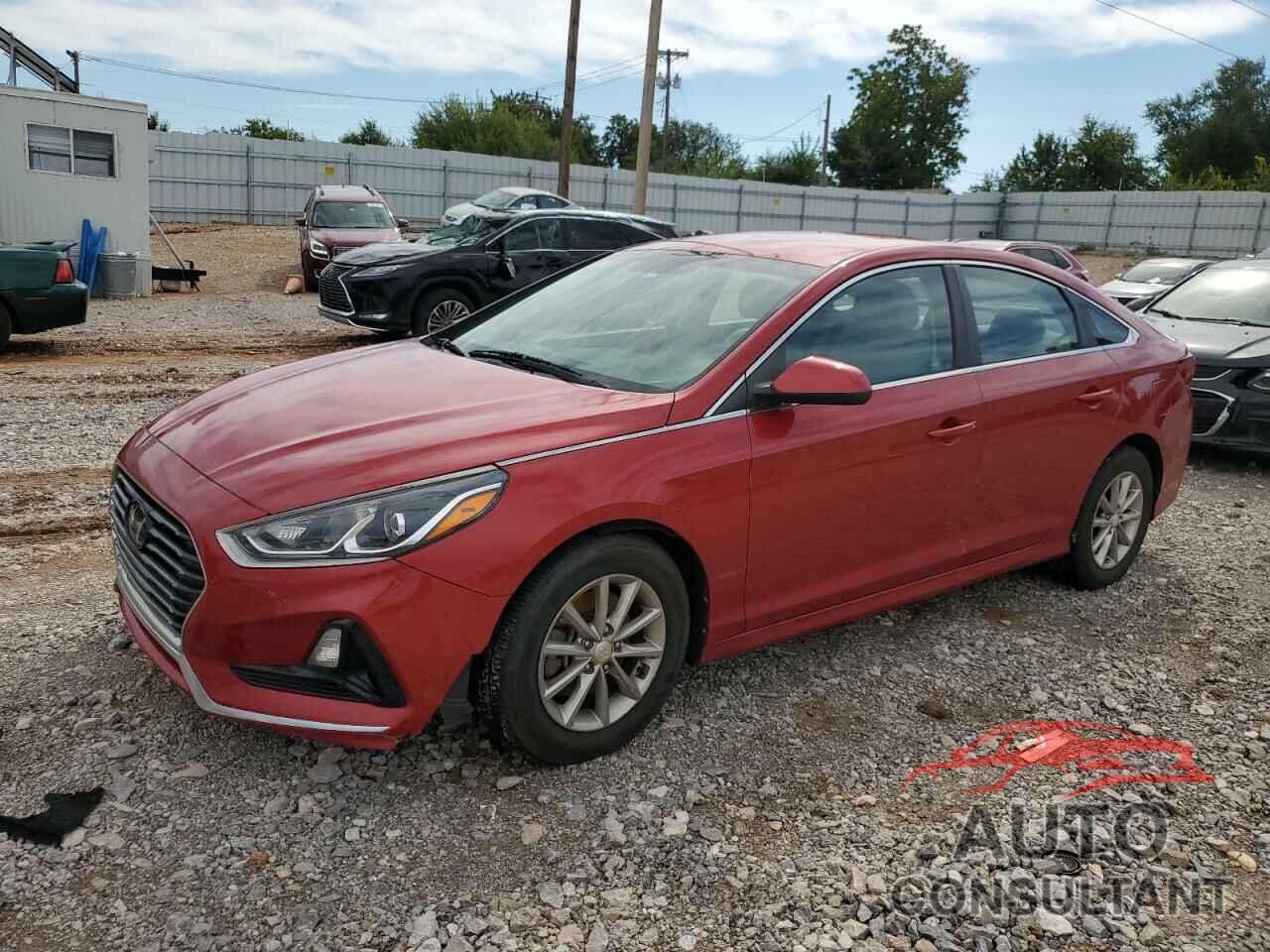 HYUNDAI SONATA 2019 - 5NPE24AF6KH741186