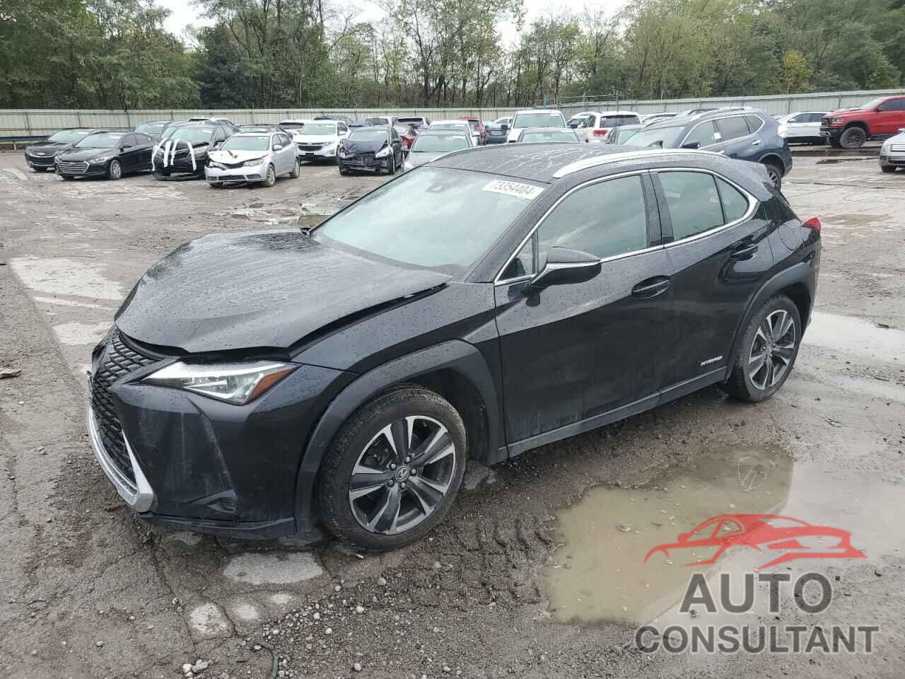 LEXUS UX 250H 2019 - JTHU9JBHXK2002781