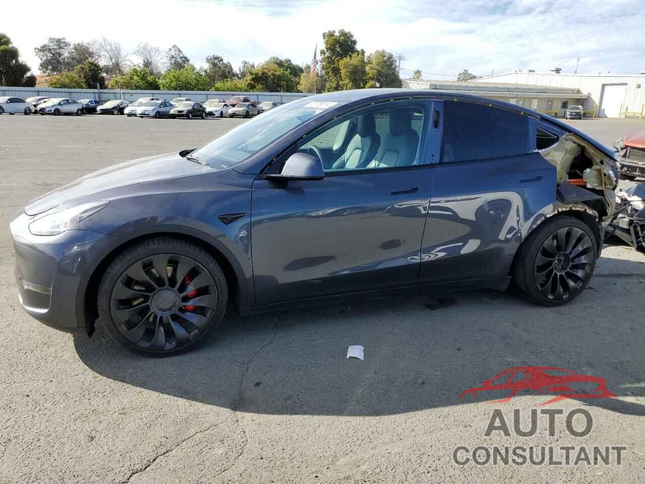 TESLA MODEL Y 2022 - 7SAYGDEF3NF405851