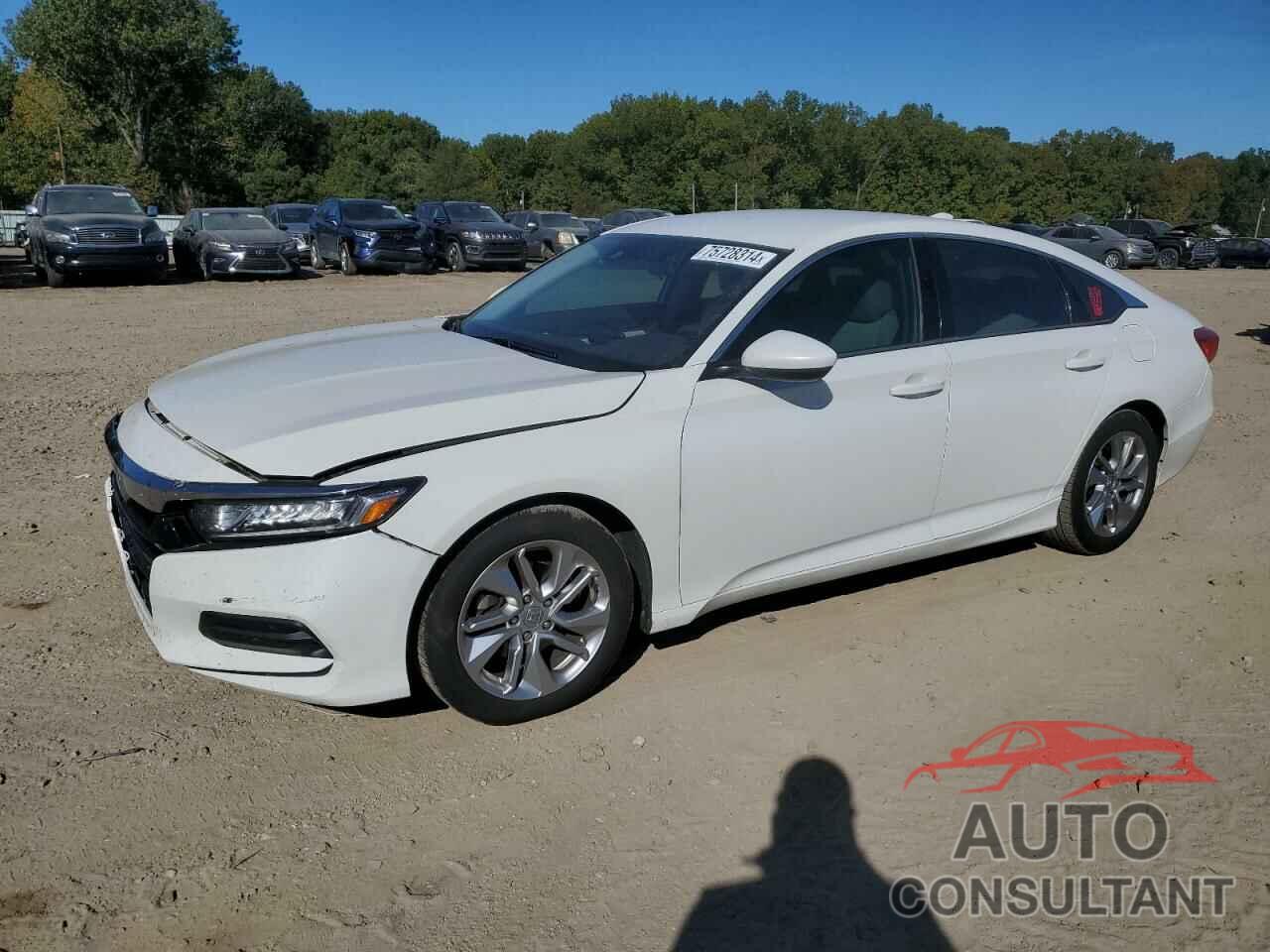HONDA ACCORD 2019 - 1HGCV1F1XKA092530