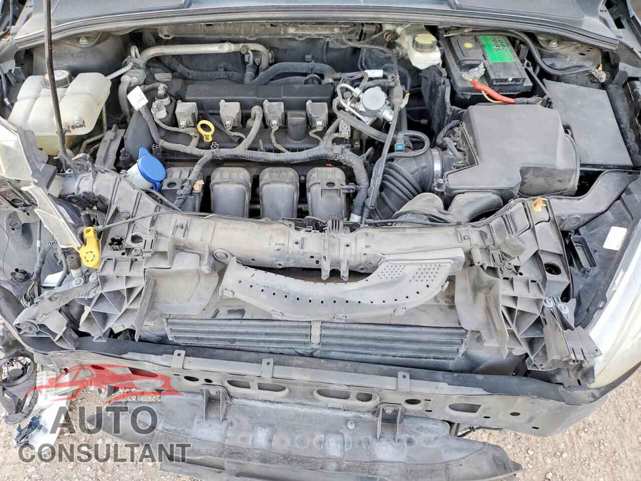 FORD FOCUS 2017 - 1FADP3E21HL244779