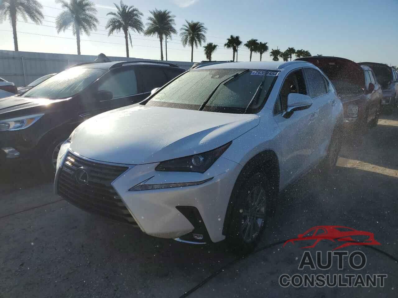 LEXUS NX 2021 - JTJDARBZ5M5034892