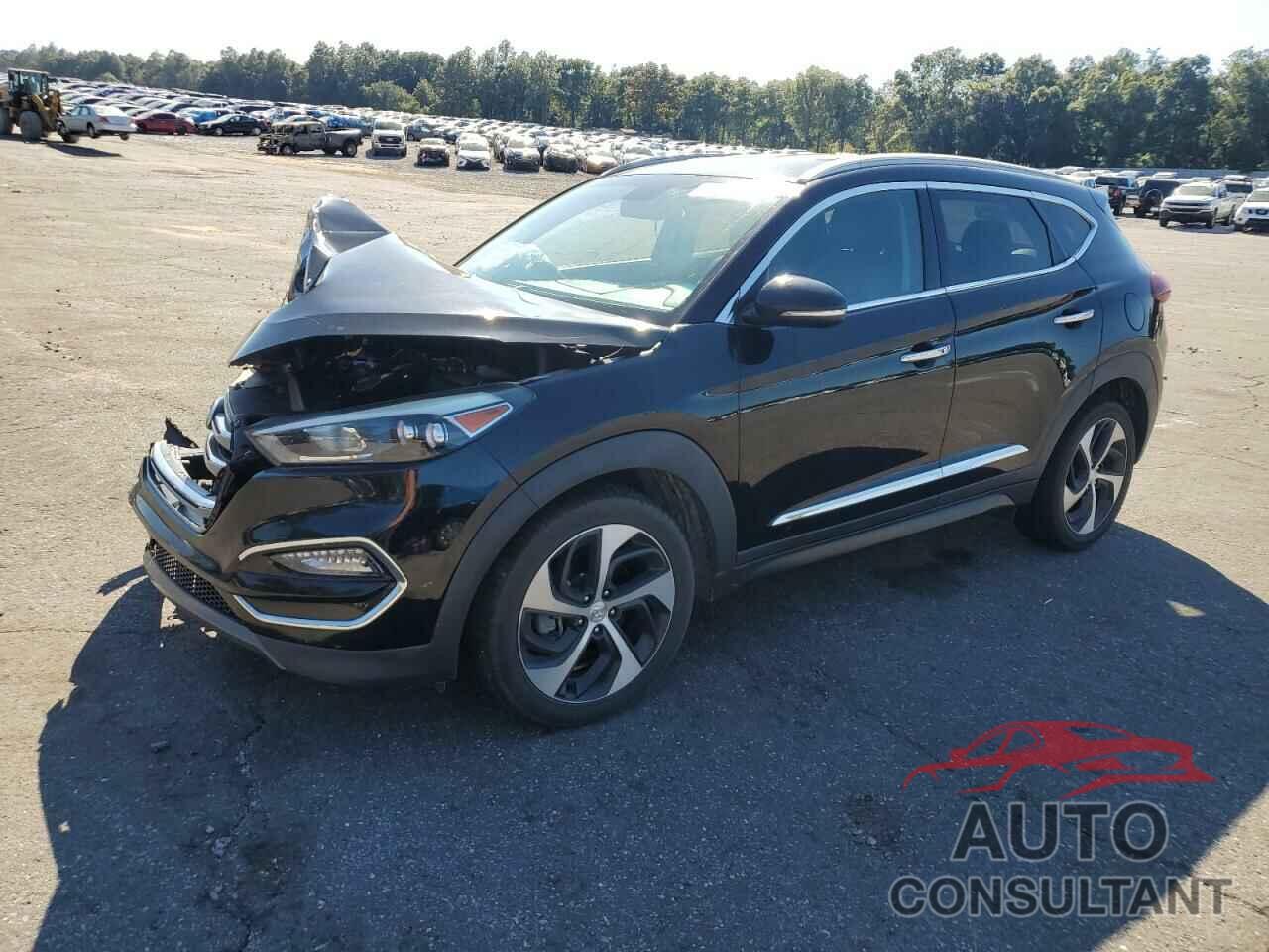 HYUNDAI TUCSON 2016 - KM8J33A28GU139868