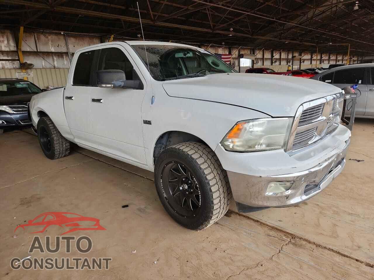 DODGE All Models 2010 - 1D7RB1GT0AS204333