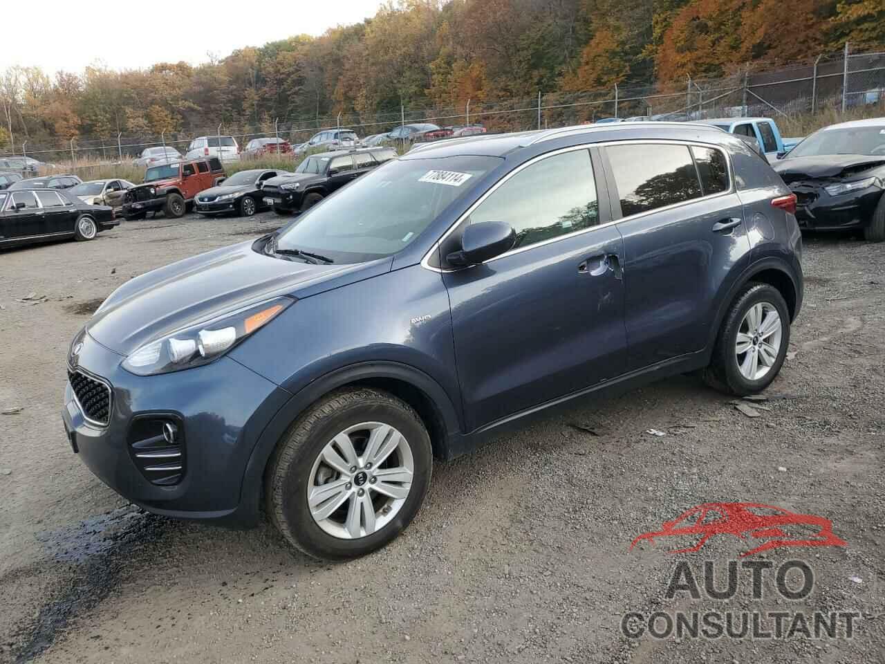 KIA SPORTAGE 2019 - KNDPMCAC7K7626815